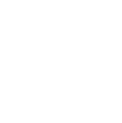 icon 03 copy