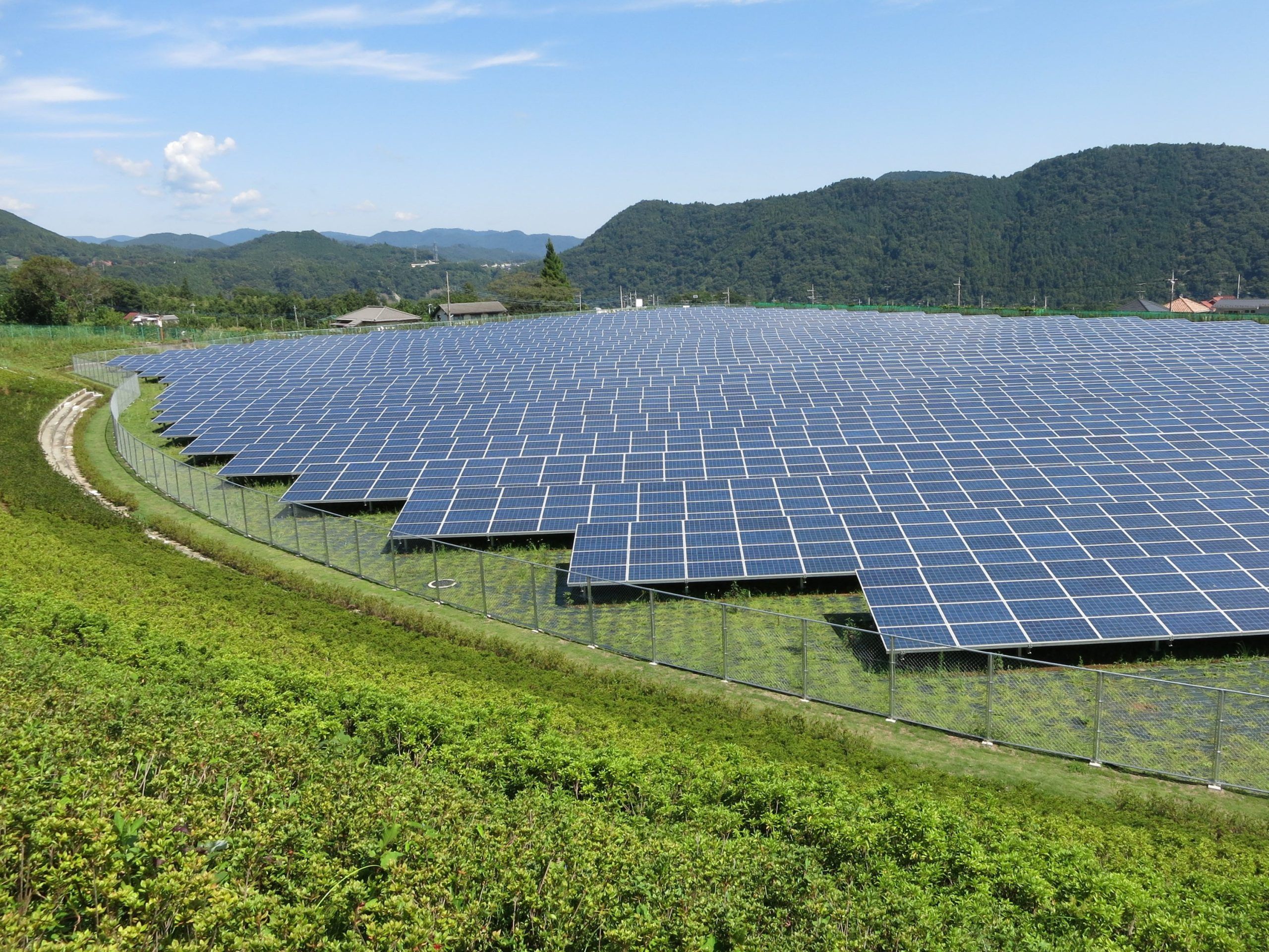 Building bridges for climate innovation: Meet 10 Japanese startups ...
