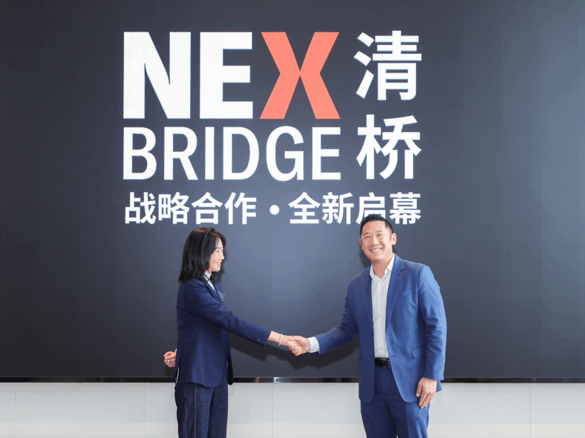 Bridges, not walls: Linking China's clean energy to the world